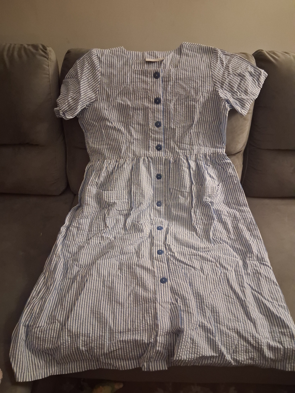 Women's Blue and White Striped Button-Front Casual Dress